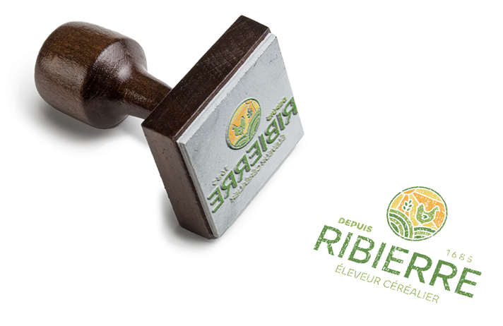 Rubber Stamp PSD MockUp 3-3